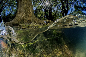 Lez river over-under (France) by Mathieu Foulquié 
